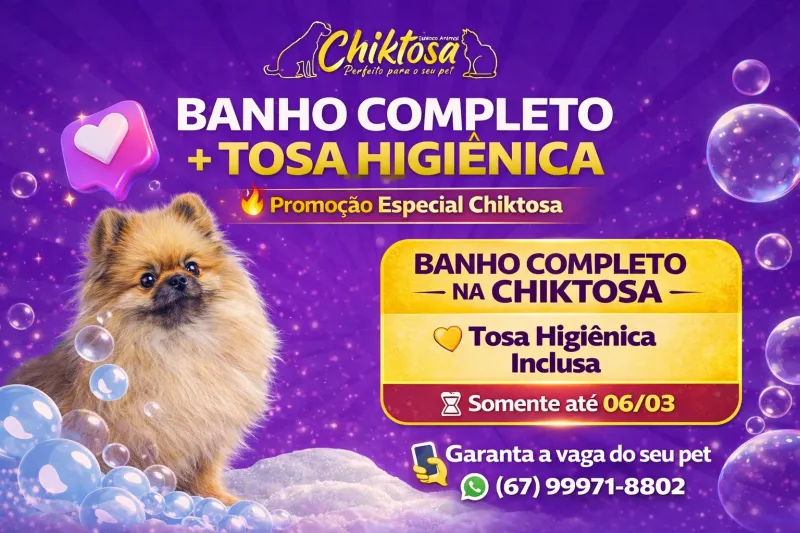 Imagem ilustrativa da matéria Chiktosa realiza campanha especial e oferece Tosa Higiênica no banho em Costa Rica
